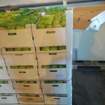 В Акбулаке на границе задержали машину с тонной перца