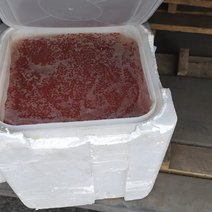 Икра, форель, свинина: под Акбулаком пресекли попытки незаконного перемещения продукции