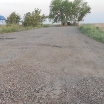 У родника «Татьянин» невозможно остановиться из-за запаха мертвечины