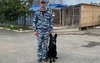 В Соль-Илецке служебная собака нашла два спрятанных трупа (18+)