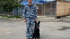 В Соль-Илецке служебная собака нашла два спрятанных трупа (18+)