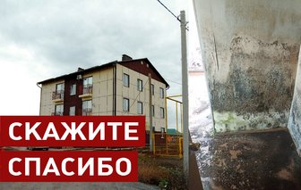 Сиротам из Соль-Илецка хотят передать в собственность заросшие плесенью квартиры
