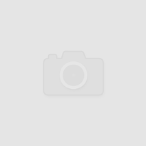 Сольилечанам предлагают написать экологический диктант