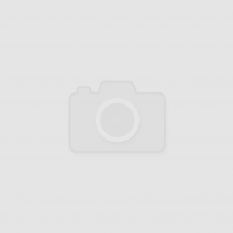 Студенты Соль-Илецкого техникума стали призерами областного чемпионата 