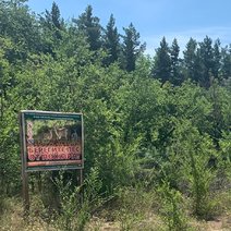 В Соль-Илецком округе отменили особый противопожарный режим