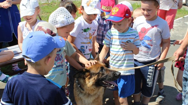 Соль-илецкие дошколята побывали в гостях у профессиональных кинологов