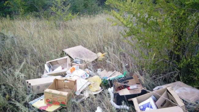 В Соль-Илецке на ликвидацию несанкционированных свалок уйдет полмиллиона 