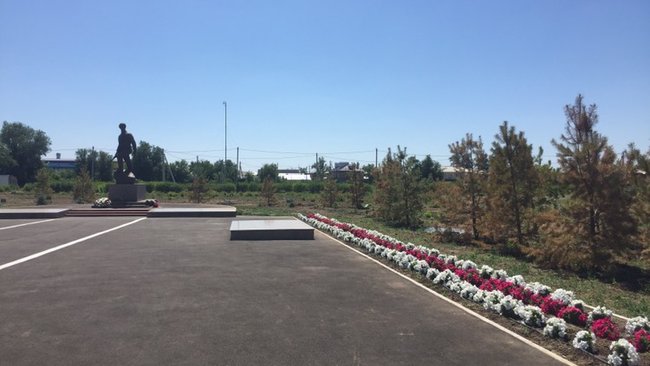 В Соль-Илецком парке Горняков погибли все деревья