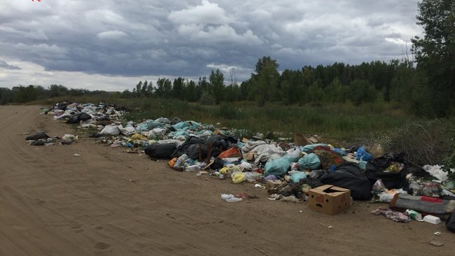 Соль-Илецкое лесничество: несанкционированные свалки на территории леса увеличиваются 