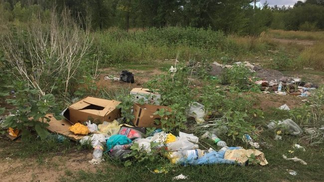 Леса в Соль-Илецке вместо Минлесхоза очищают неравнодушные горожане