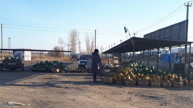 В Соль-Илецке до окончания торговли бахчевыми осталось несколько недель 