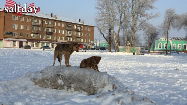 В Соль-Илецком округе не хватает денег на обеспечение безопасности жителей