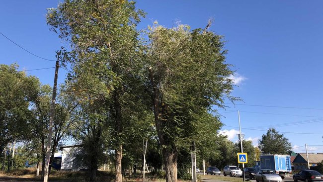 Сегодня в Соль-Илецке ожидается сильный штормовой ветер