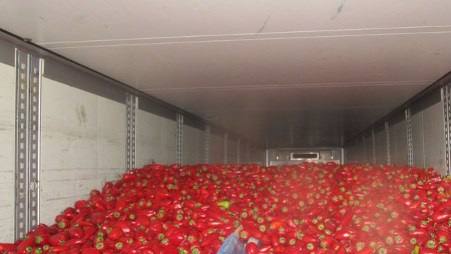 В Акбулак пытались ввезти 360 тонн «запрещенки»