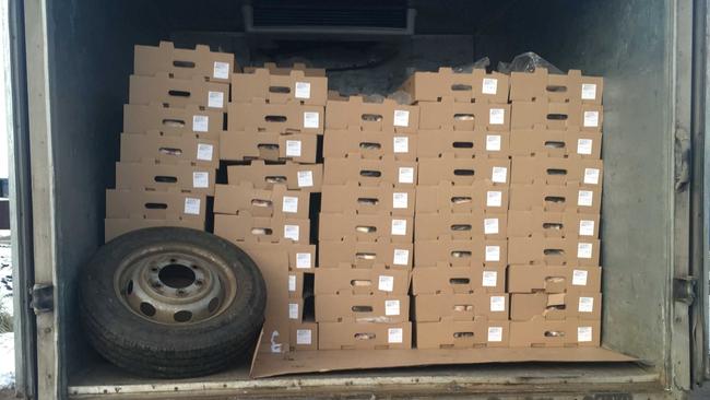 Под Акбулаком уничтожили 3 тонны мяса птицы