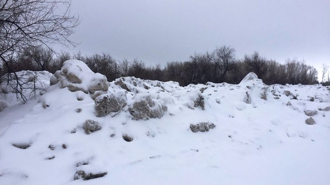 В Соль-Илецке снег с улиц города вывозят в лесной массив 