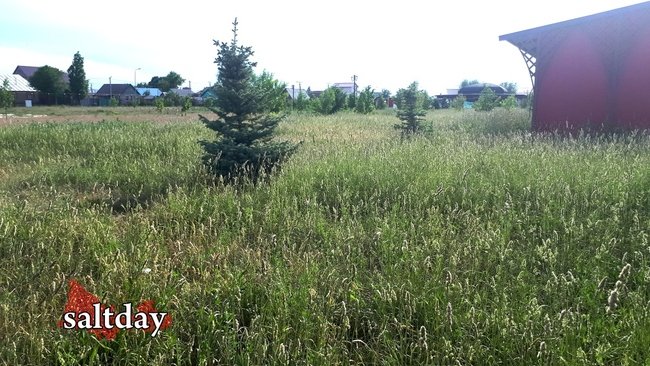 Учредители «Руссоли» подали иск к администрации Соль-Илецка