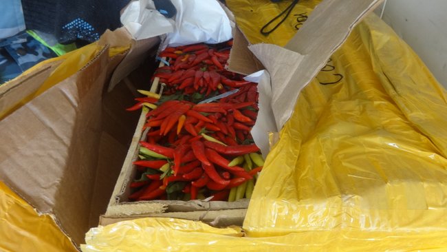 Через границу под Акбулаком продолжают везти небезопасные продукты