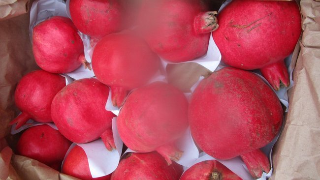 На границе под Акбулаком в очередной раз задержали небезопасные фрукты