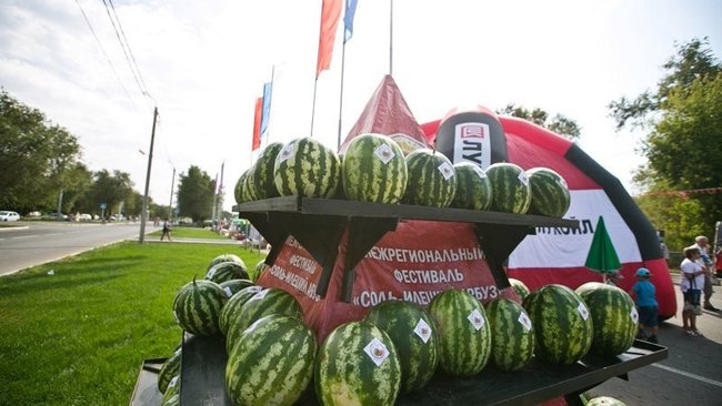 Соль-Илецкий арбуз набирает голоса за национальное звание «Вкусы России»