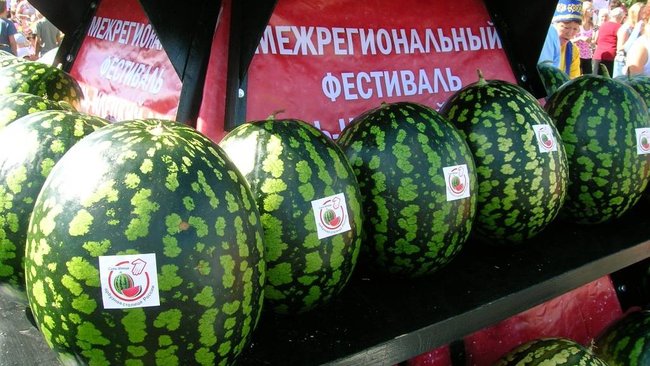 Соль-Илецкий арбуз проиграл оренбургским пельменям, сыру и лепешкам 