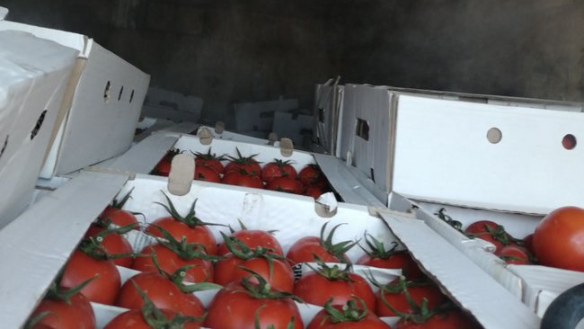 Для 50 тонн небезопасных продуктов граница под Акбулаком осталась на замке 