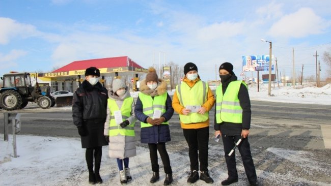 Сотрудники ГИБДД провели экскурсию для юных сольилечан