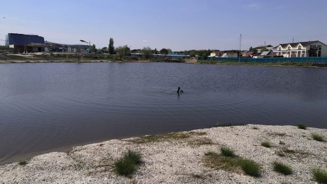 В преддверии купального сезона водолазы проверили безопасность пляжей Соль-Илецка
