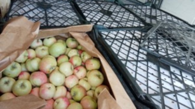 Под Акбулаком задержали небезопасные продукты