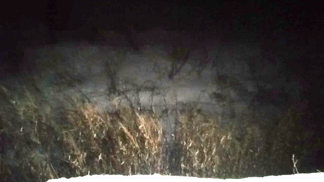 У жителя Соль-Илецка изъяли марихуану