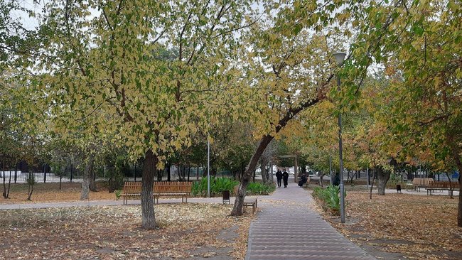 В Соль-Илецк на этой неделе придут дожди