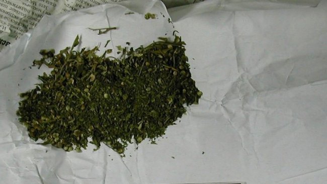 Полиция задержала жителя Соль-Илецка, хранившего наркотики в крупном размере