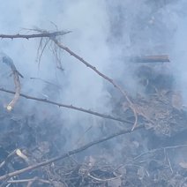 В Соль-Илецком округе прогнозируют высокий класс пожарной опасности