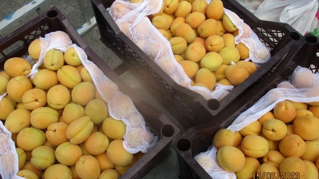 На складе в Соль-Илецке обнаружили 21 тонну свежих абрикосов с плодожоркой