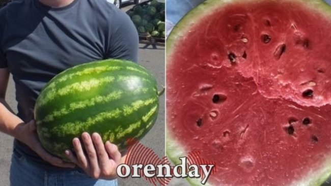 Советы, когда хочется соль-илецкие арбузы или дыньки: брать сейчас или подождать