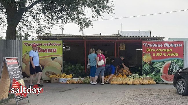 Какая настоящая цена на соль-илецкий арбуз в середине августа 2023