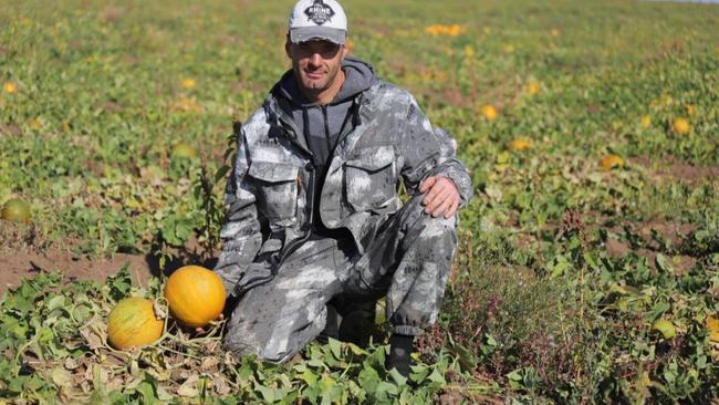 В Соль-Илецке сбор бахчевых культур в самом разгаре 