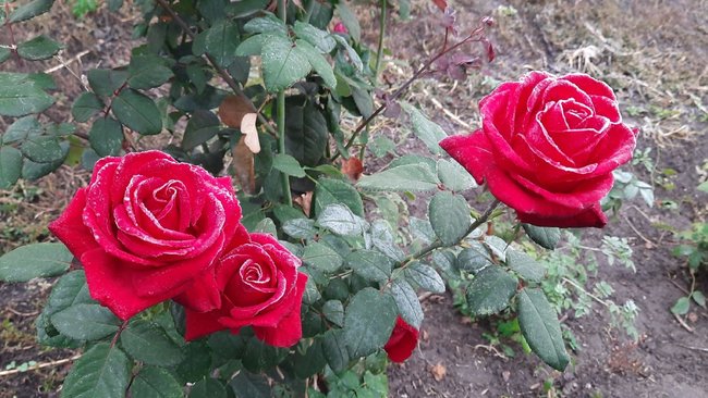 В Соль-Илецке скоро стартует отопительный сезон 