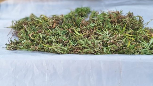 Полицейские Соль-Илецка выявили крупную партию наркотика у жителя Боевой Горы