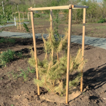 В отношениях между СУ-56 и администрацией Соль-Илецкого округа что-то не заладилось