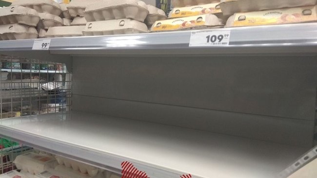 Стоимость яиц в Оренбурге бьет все рекорды