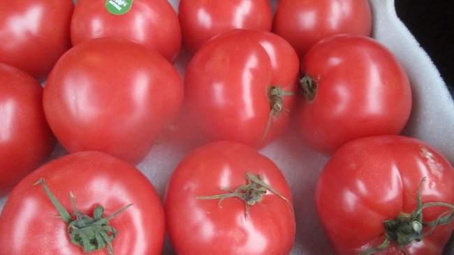 На складе в Соль-Илецке обнаружили крупную партию томатов с «сюрпризом»