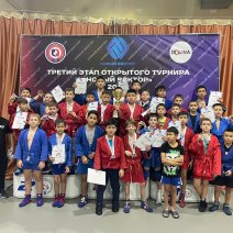 Спортсмены из Соль-Илецка завоевали два десятка наград на турнире по самбо