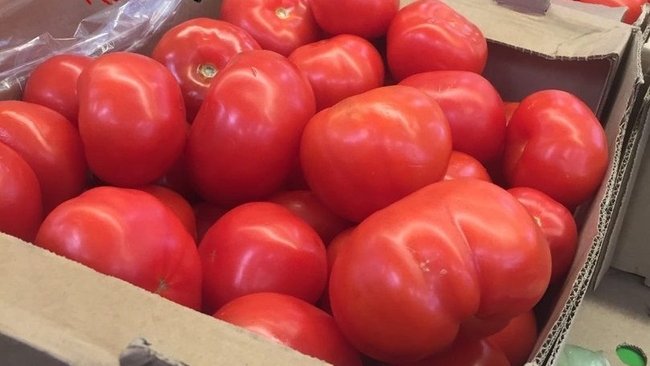 В Соль-Илецк из Туркменистана пришли томаты с белком