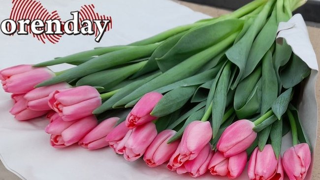 Новая рабочая неделя для сольилечан будет короче на один день