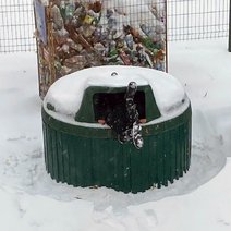 В Соль-Илецке дети залезают в мусорные контейнеры 