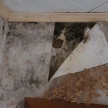 У жителей пятиэтажки в Соль-Илецке из-за регулярных протечек завелась черная плесень