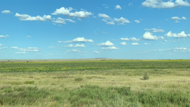 В Соль-Илецком округе аграрии приступили к весенним полевым работам