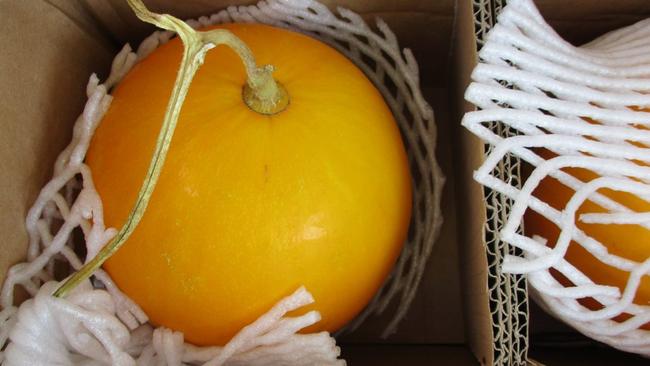 Через Акбулак не пустили дыни из Китая и саженцы роз