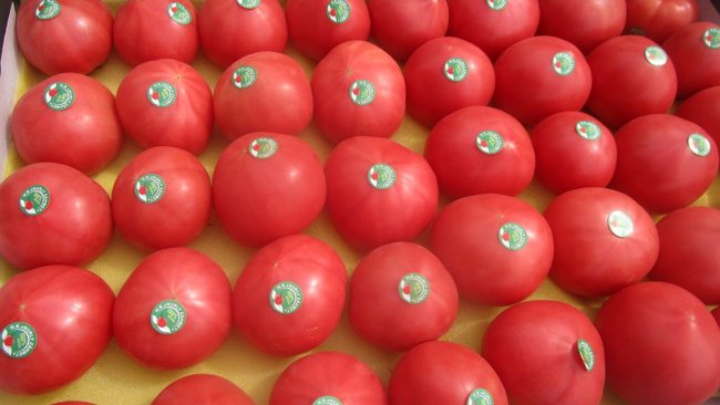 В Соль-Илецке на складе временного хранения обнаружили томаты с южноамериканской молью